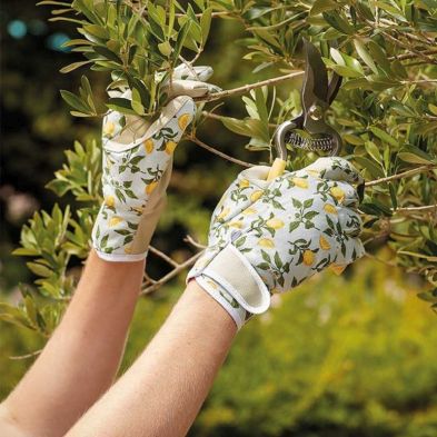 Briers Sicilian Lemon Smart Gardeners Gardening Gloves - Medium / Size 8